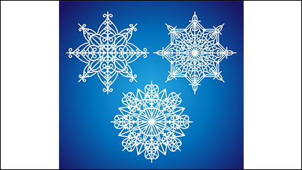 3 delicate snowflake design vector material