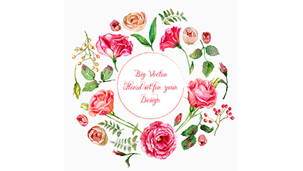 Beautiful summer flowers Vector Drawing