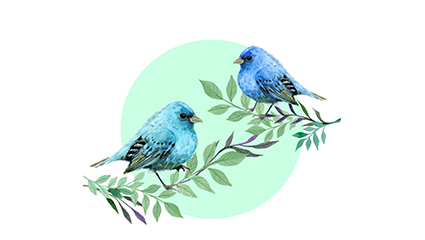 Blue bird vector material on 2 branches