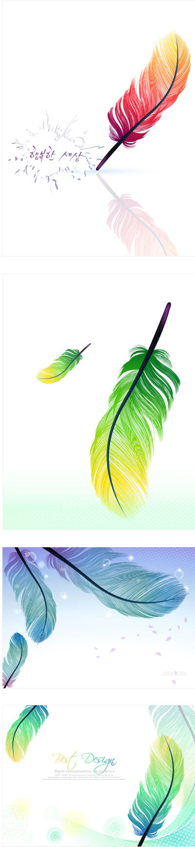 colorful feathers vector 