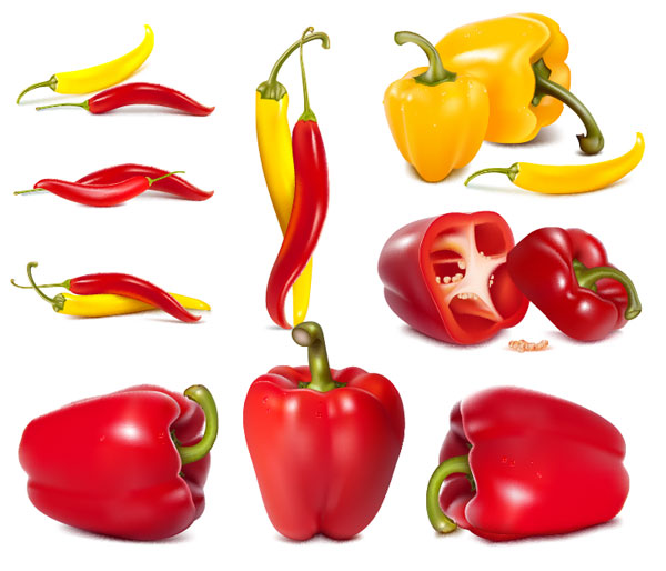 pepper, vegetables, bell peppers vector 