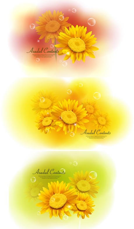 Yellow Chrysanthemum dimorphotheca Vector Materials