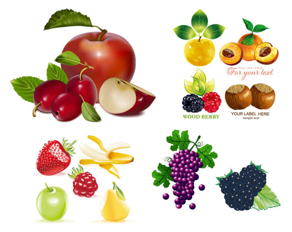 Fruit set vector of material
