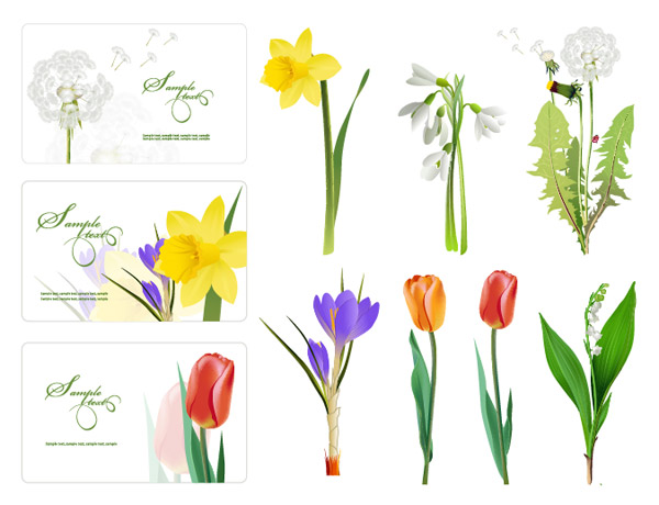 Some flowers Vector