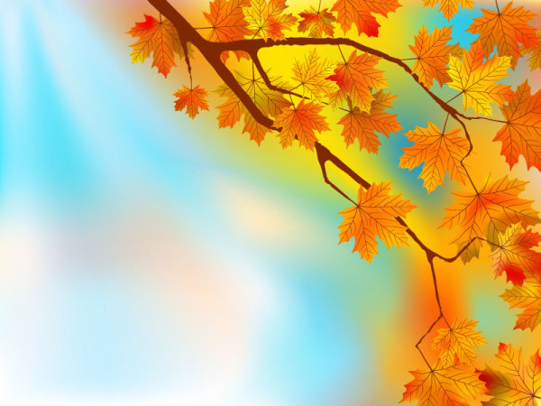 Beautiful maple leaf background 02 - vector