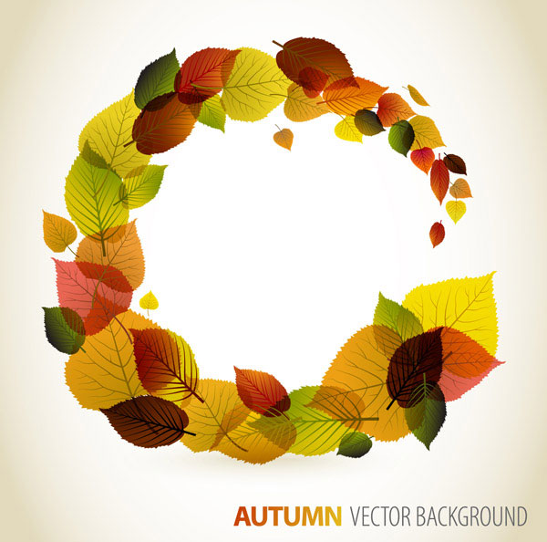 Autumn leaves graphic design vector material -4