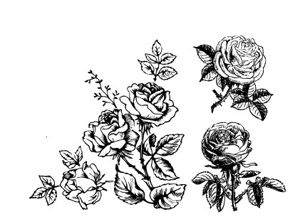 Hand-painted flowers material 01 - vector material