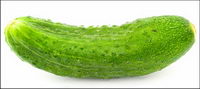 Cucumber picture material
