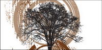 Vector illustration tree theme material