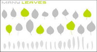 Variety of leaves Vector