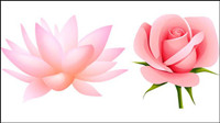 Beautiful small flowers vector material -4