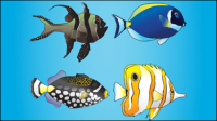 Cartoon marine fish - vector material