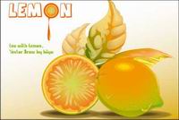 Lemon Vector Material