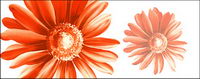 Hand-painted flowers layered material psd-12