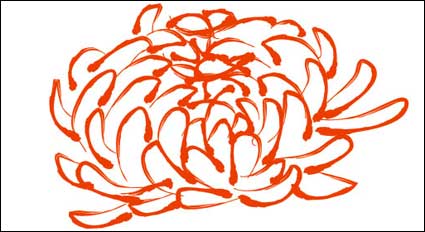Chrysanthemum pattern vector