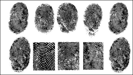Fingerprint vector material -1