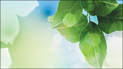 Dream plant vector background material -6