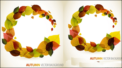 Autumn leaves graphic design vector material -4